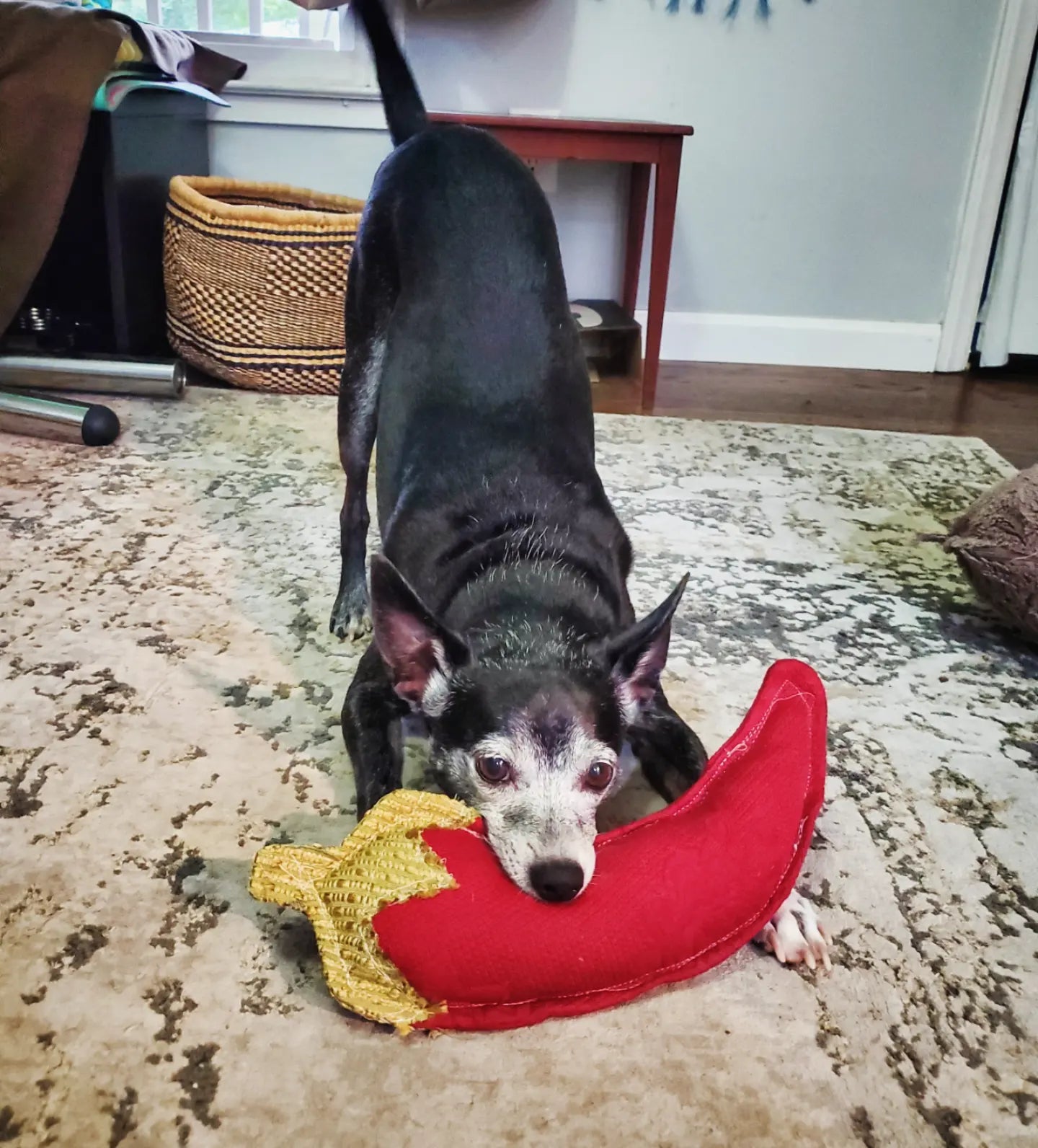 Eco-Pepper Dog Toy